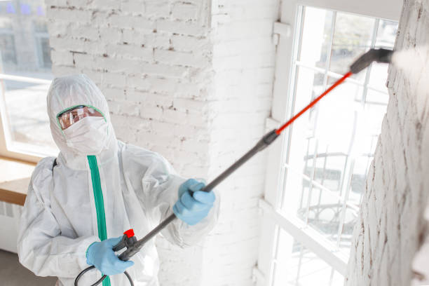  , USA Mold Removal Pros